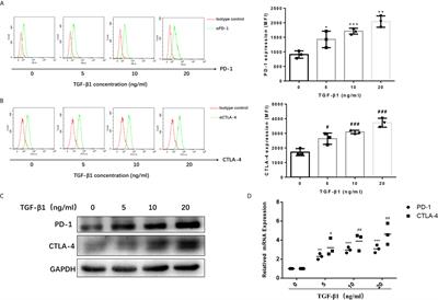 TGF-β1 Induces Immune Escape by Enhancing PD-1 and CTLA-4 Expression on T Lymphocytes in Hepatocellular Carcinoma